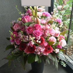 【関係者様専用】お祝い花・楽屋花